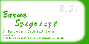 barna szigriszt business card